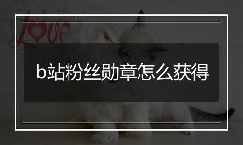 b站粉丝勋章怎么获得