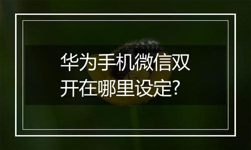 华为手机微信双开在哪里设定?