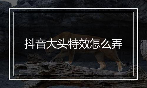 抖音大头特效怎么弄