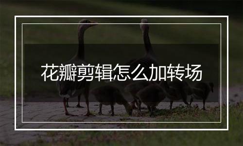 花瓣剪辑怎么加转场