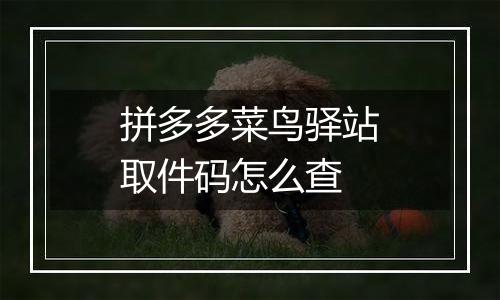 拼多多菜鸟驿站取件码怎么查