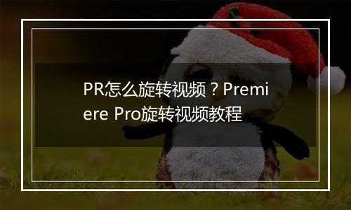 PR怎么旋转视频？Premiere Pro旋转视频教程