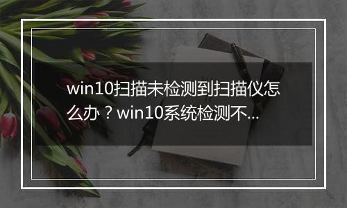 win10扫描未检测到扫描仪怎么办？win10系统检测不到扫描仪的解决方法