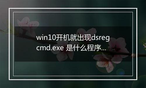 win10开机就出现dsregcmd.exe 是什么程序?