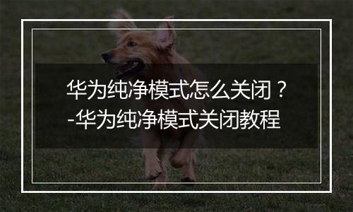 华为纯净模式怎么关闭？-华为纯净模式关闭教程