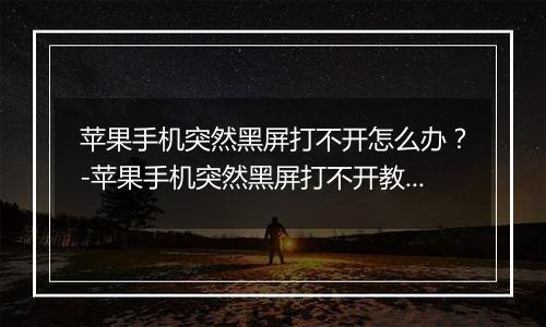苹果手机突然黑屏打不开怎么办？-苹果手机突然黑屏打不开教程