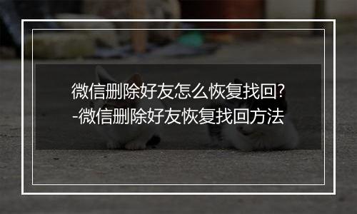 微信删除好友怎么恢复找回?-微信删除好友恢复找回方法