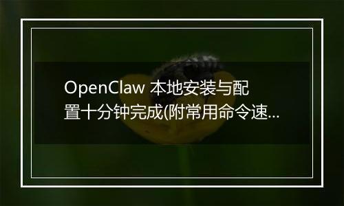 OpenClaw 本地安装与配置十分钟完成(附常用命令速查)