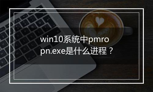 win10系统中pmropn.exe是什么进程？