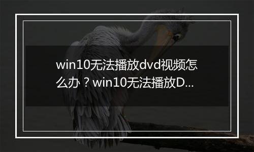 win10无法播放dvd视频怎么办？win10无法播放DVD的解决方法