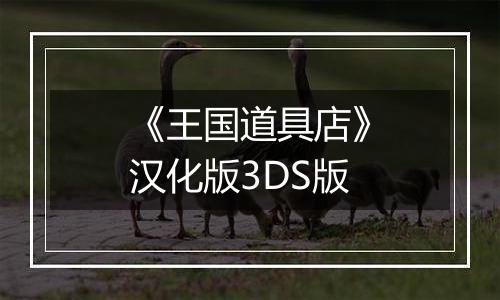 《王国道具店》汉化版3DS版