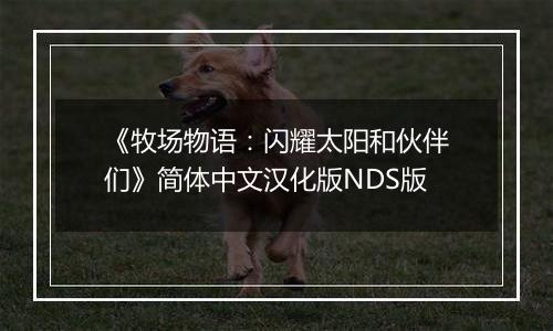 《牧场物语:闪耀太阳和伙伴们》简体中文汉化版NDS版
