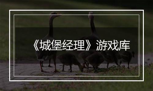 《城堡经理》游戏库