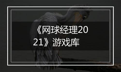 《网球经理2021》游戏库