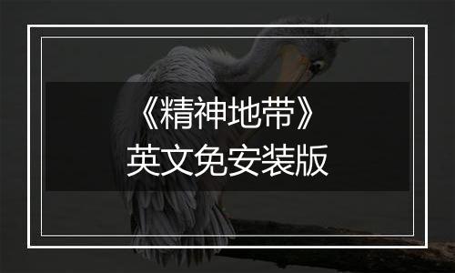 《精神地带》英文免安装版