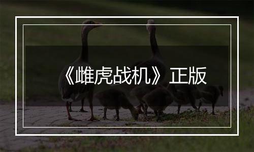 《雌虎战机》正版