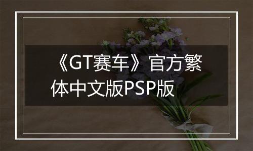 《GT赛车》官方繁体中文版PSP版