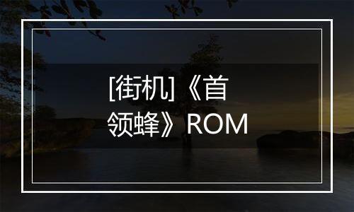 [街机]《首领蜂》ROM