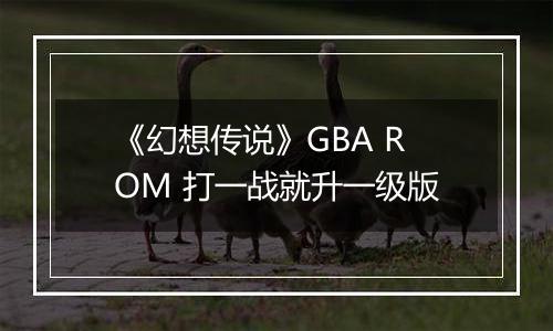 《幻想传说》GBA ROM 打一战就升一级版