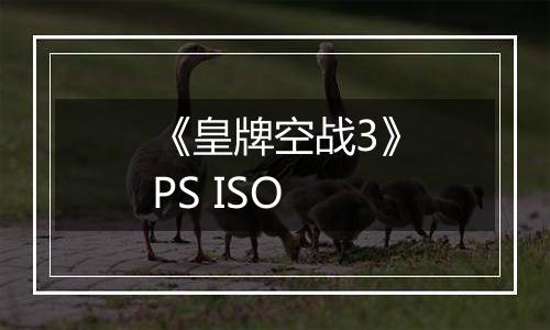 《皇牌空战3》PS ISO