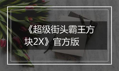 《超级街头霸王方块2X》官方版