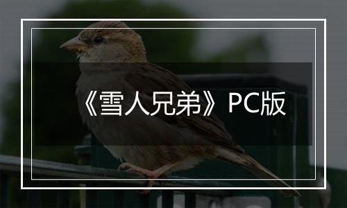 《雪人兄弟》PC版