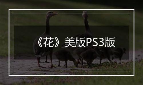 《花》美版PS3版